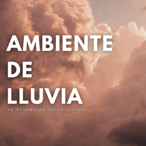 Cepillo Grande Y Suave