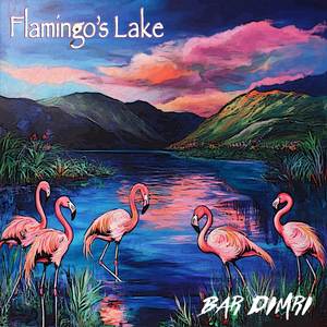 Flamingo's Lake