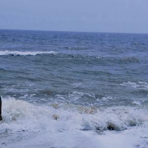 回归 哨笛（《封神第一部 朝歌风云》片尾曲）