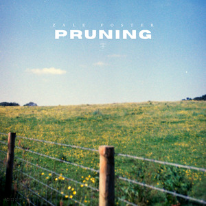 Pruning