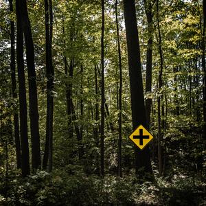 Park Lane (feat. Brock Camden)