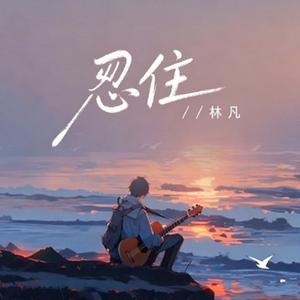 忍住 (烟嗓 r&b版本）