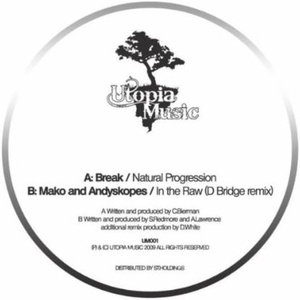 In The Raw (D Bridge Remix)