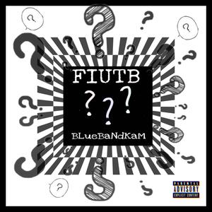 FIUTB