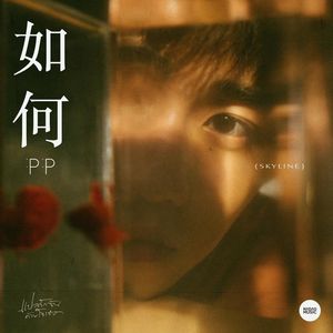 如何（cover PP Krit）