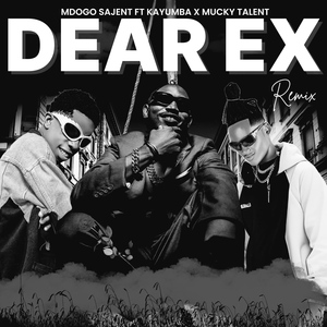 Dear EX (Remix)