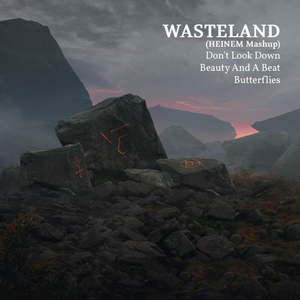 Don't Look Down X Beauty And A Beat X Wasteland X Butterflies (HEINEM Mashup) feat. Martin Garrix,Usher,Justin Bieber,Nicki Minaj,Trivecta,Matisse & Sadko,BARBZ