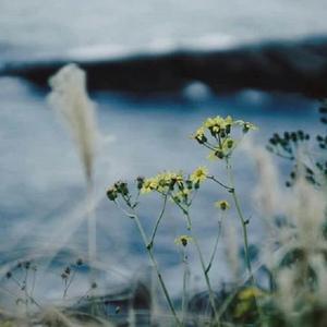 will we meet tomorrow?