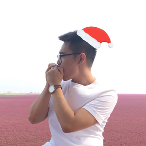 圣诞节（Cover PB33）