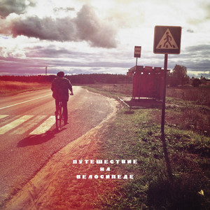 Про пингвинов