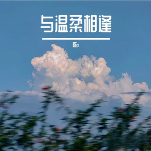 与温柔相逢
