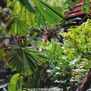 在家里工作时尚的波萨诺伐舞曲