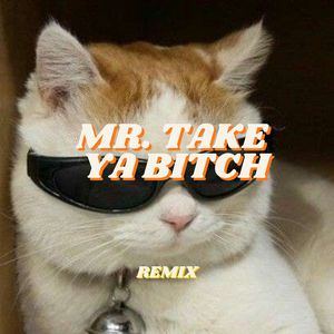 Mr. Take Ya B***h (Remix)