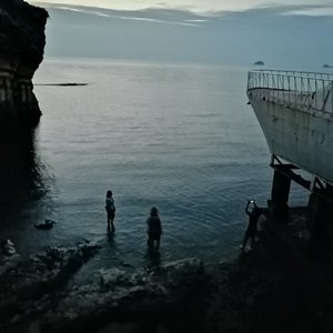 林间静谧