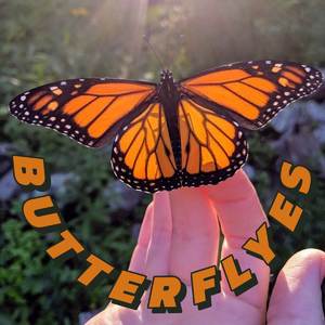 Butterflyes
