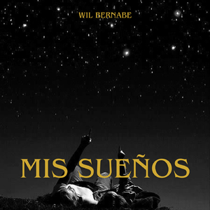 mis sueños