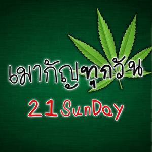 เมากัญทุกวัน