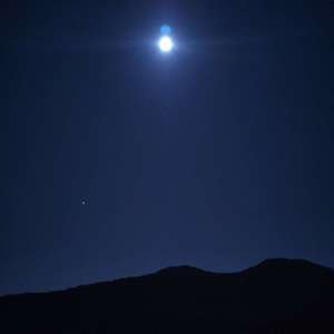 癌（prod by Lion-Z狮子）