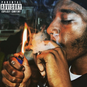 Juice Mane (feat. MarcoDinero & Spike Speigal)