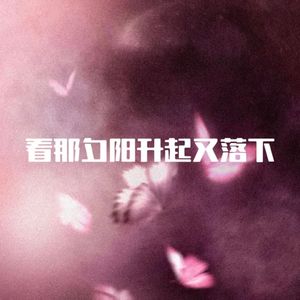 看那夕阳升起又落下