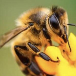 Sammelt euch Schätze im Himmel