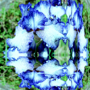 Mountain Stream Drive