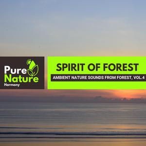 Colorful Memories of Waves