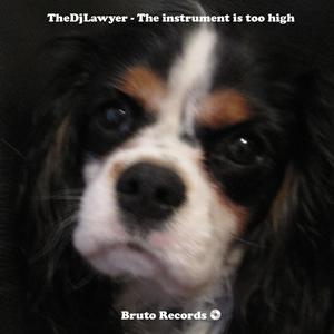 The Instrument Is Too High (Original Mix)