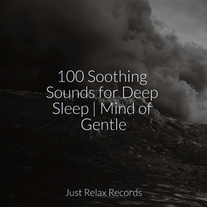 Solemn Echoes of Destiny