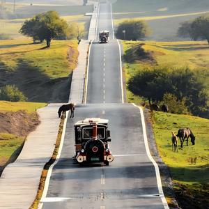 《城市夜色邂逅》