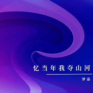 忆当年我夺山河