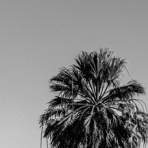 Dcing in Sun