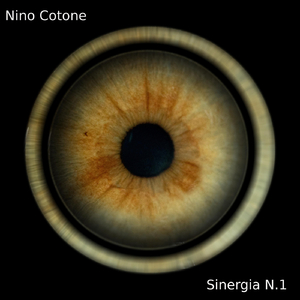 Sinergia N.1