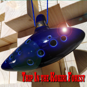 Trip In the Kokiri Forest