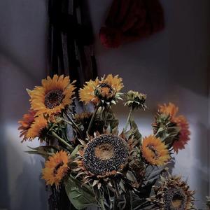 DEMOPart2(Prod By Lv9)