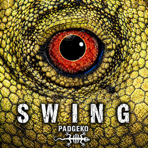 SWING