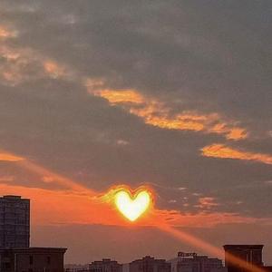 "Free"空的一点爱