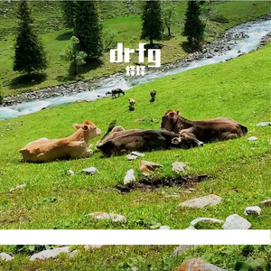 褪色的告别