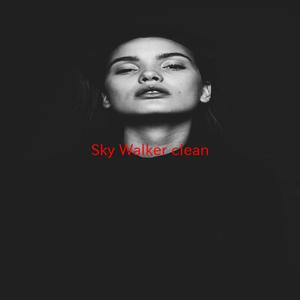 Sky Walker (Skywalker) (clean) (Tribute version originally performed by Miguel feat. Travis Scott)