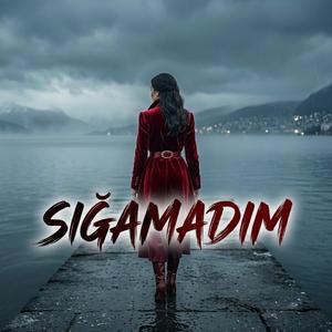 Sığamadım