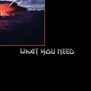 What You Need
