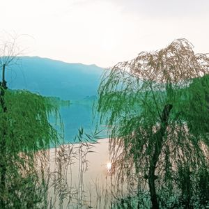 且醉待山雨（纯音乐）