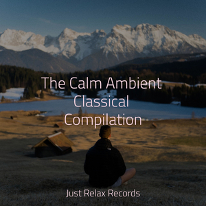 Mossy Whispers in Secret