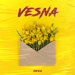 VesNa