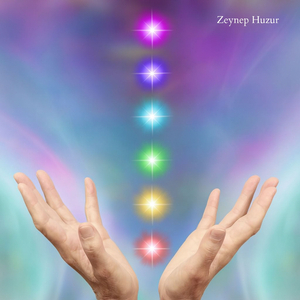 Enerji Bedenini Arındırma