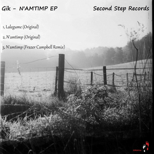 N'amtimp (Original Mix)