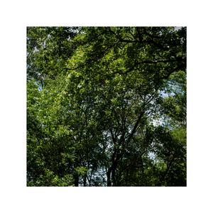 過ぎゆく日と君へ