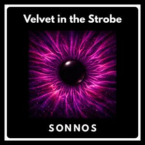 Velvet in the Strobe