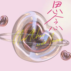 思念
