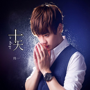 十天 (DJ沈念版|Remix)